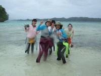 01_palau_guest.gif