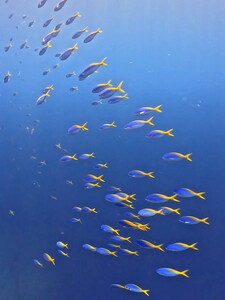 InShot_20250812_091111092.jpg