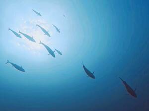 InShot_20250816_054446896.jpg
