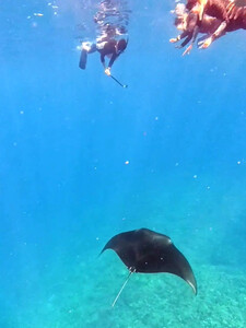 InShot_20250818_073110333.jpg