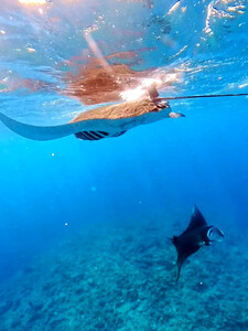 InShot_20250818_073214243.jpg