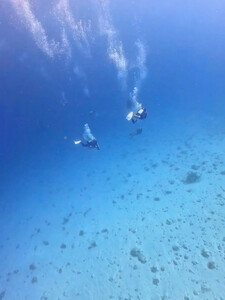 InShot_20250910_055328311.jpg