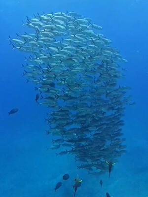 InShot_20260519_105734943.jpg