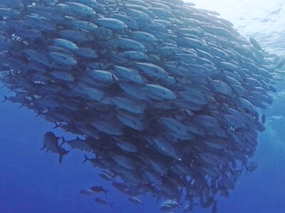 InShot_20260523_065247047.jpg