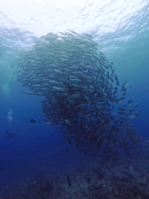 InShot_20260616_055210269.jpg