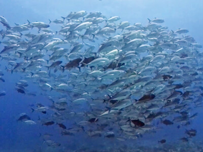 InShot_20260621_074707683.jpg