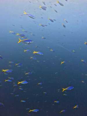 InShot_20260630_153156000.jpg