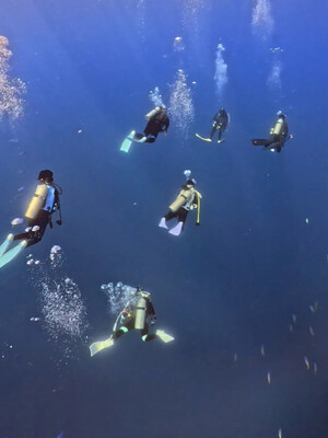 InShot_20260703_070200196.jpg