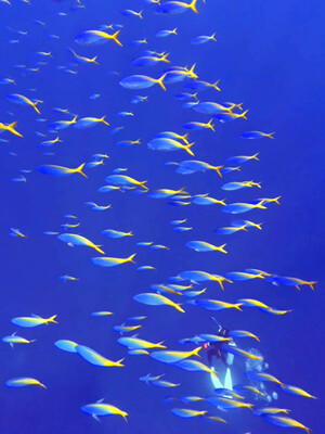 InShot_20260705_100449619.jpg