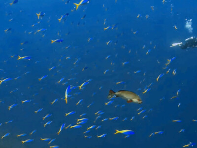 InShot_20260707_065101296.jpg