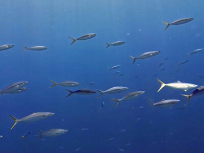 InShot_20260707_065127152.jpg