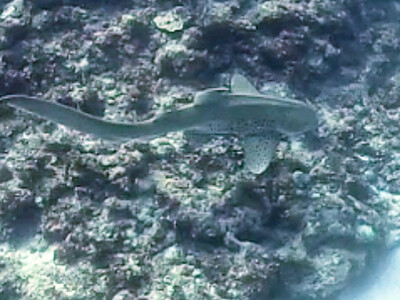 InShot_20260708_053915968.jpg