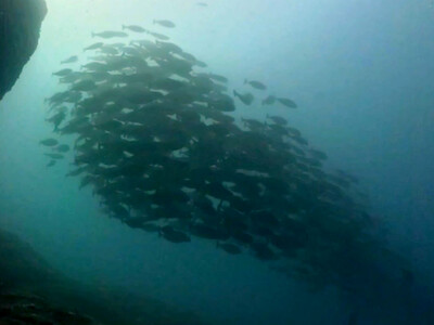 InShot_20260716_063611703.jpg