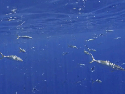 InShot_20260720_201107306.jpg