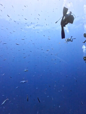 InShot_20260720_201131592.jpg