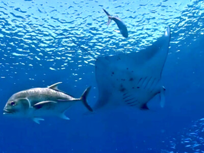 InShot_20260801_124343988.jpg