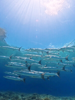 InShot_20260801_124413498.jpg