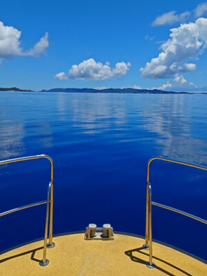 InShot_20260801_124430377.jpg