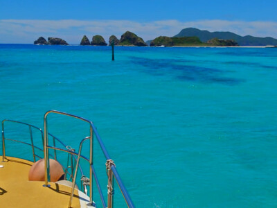 InShot_20260920_223201257.jpg