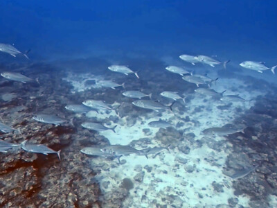 InShot_20260920_231809267.jpg