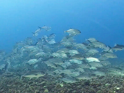 InShot_20261008_140316701.jpg