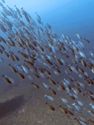 InShot_20261016_103812465.jpg