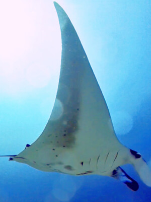 InShot_20261019_055600906.jpg